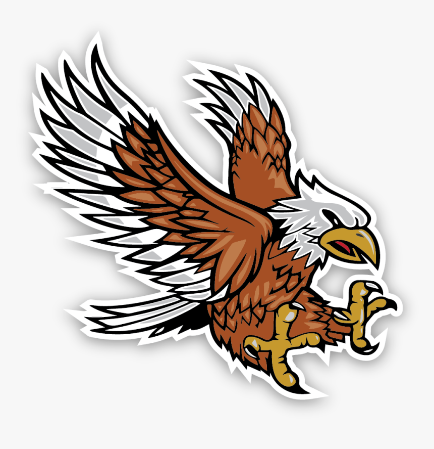 Apollo Middle School Emblem - Red-tailed Hawk, HD Png Download