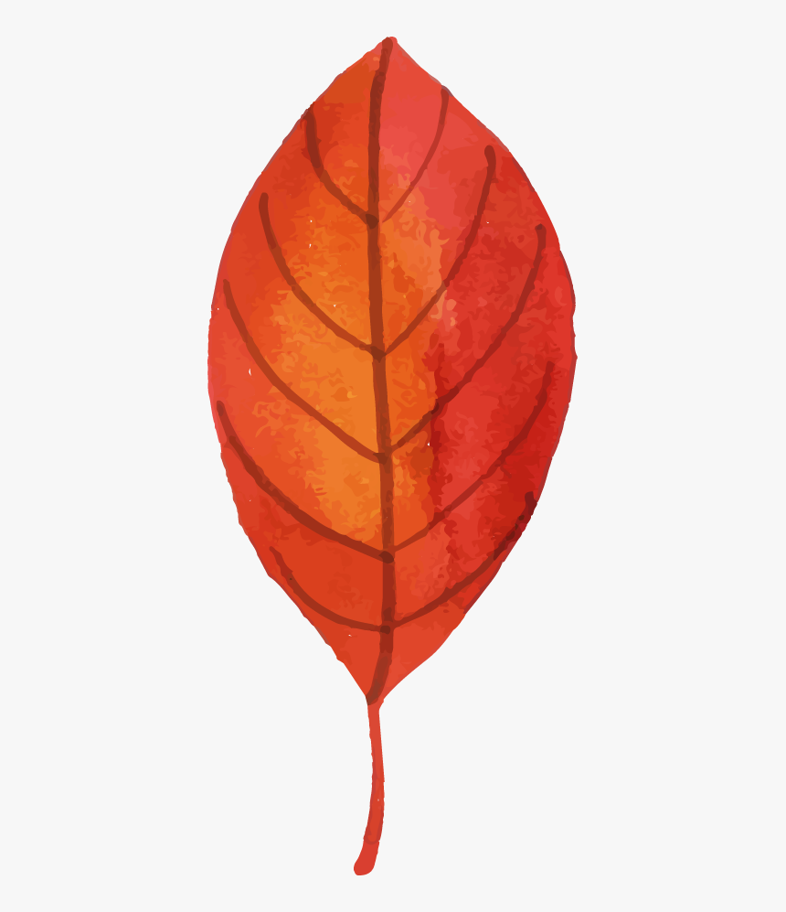 Paper Lantern, HD Png Download