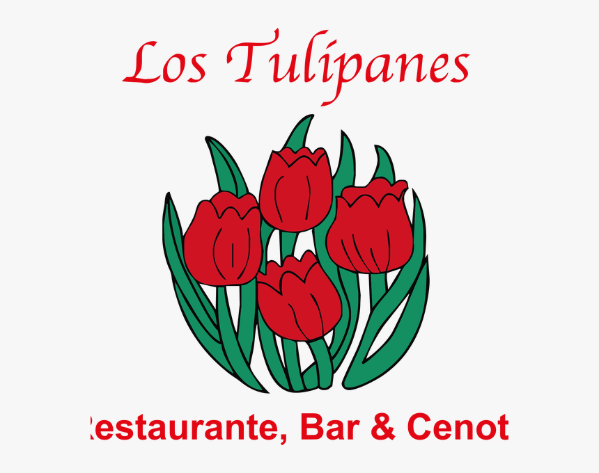 Photo Taken At Los Tulipanes By Los Tulipanes On 4/4/2016 - Air Astana, HD Png Download