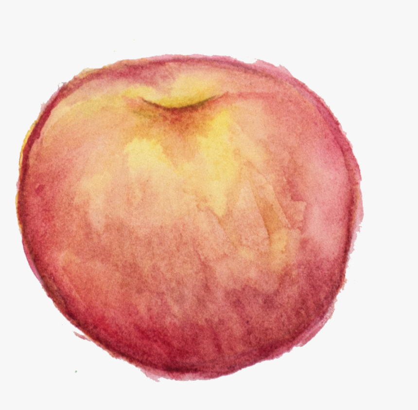 Orange Watercolor Png, Transparent Png