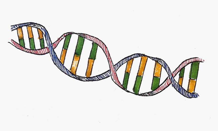 Illustration, HD Png Download