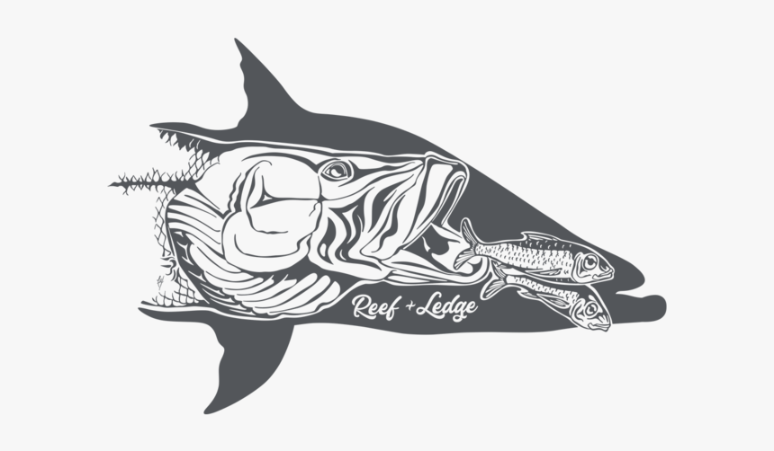 Swordfish, HD Png Download