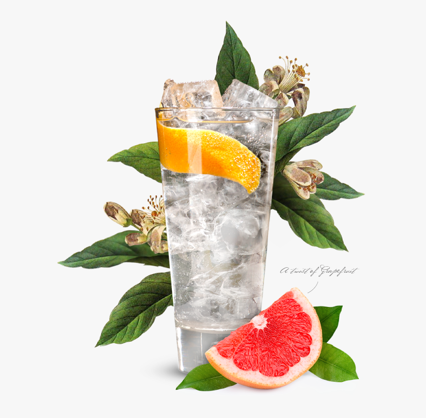 Portobello Road Gin And Tonic, HD Png Download
