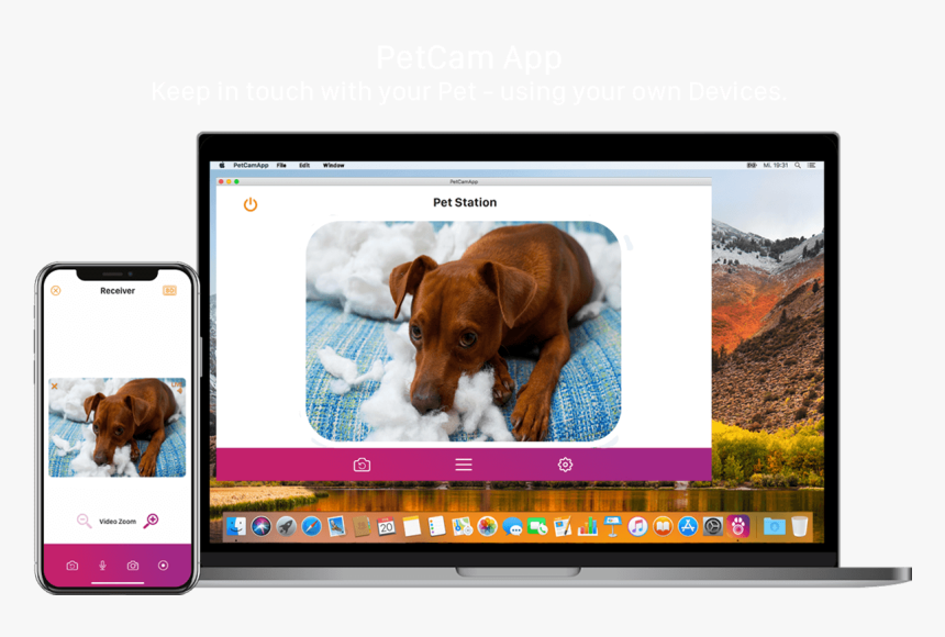 Dog Licks, HD Png Download