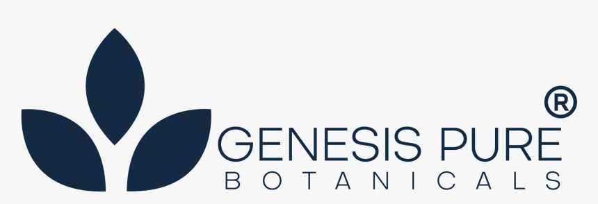 Graphics, HD Png Download