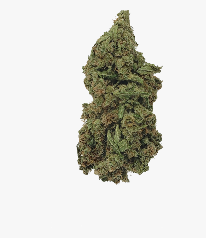 Charlotte S Web - Gyokuro, HD Png Download