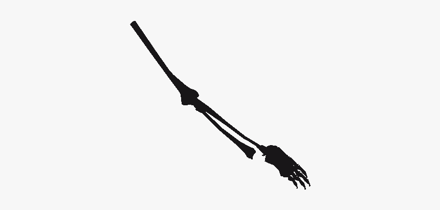 Download Zip Archive - Networking Cables, HD Png Download