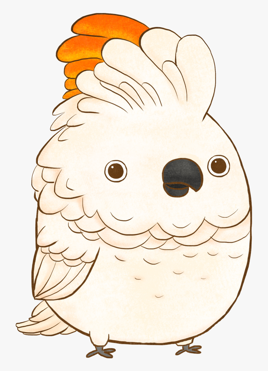 Cockatoo, HD Png Download