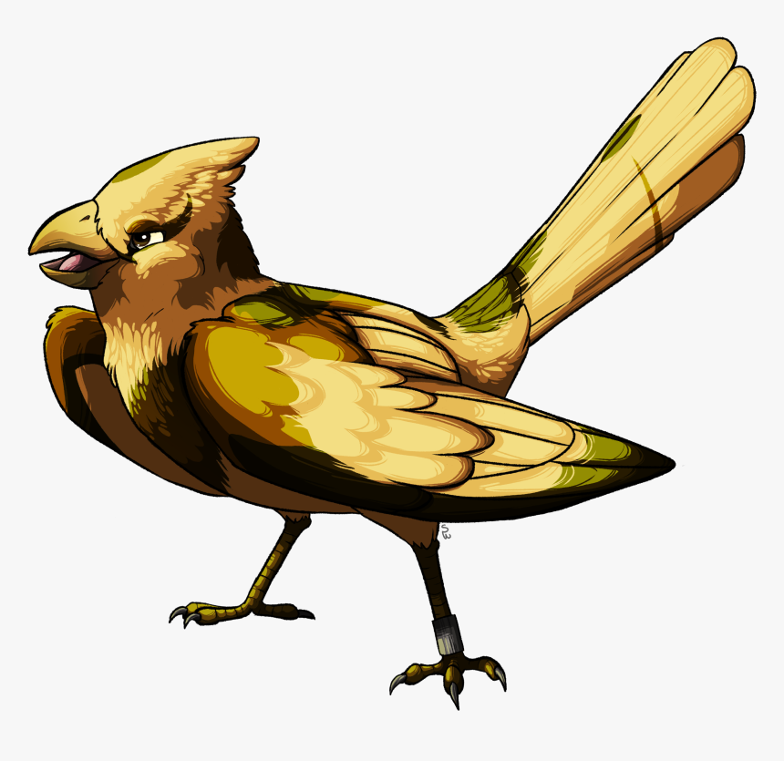 Evening Grosbeak, HD Png Download