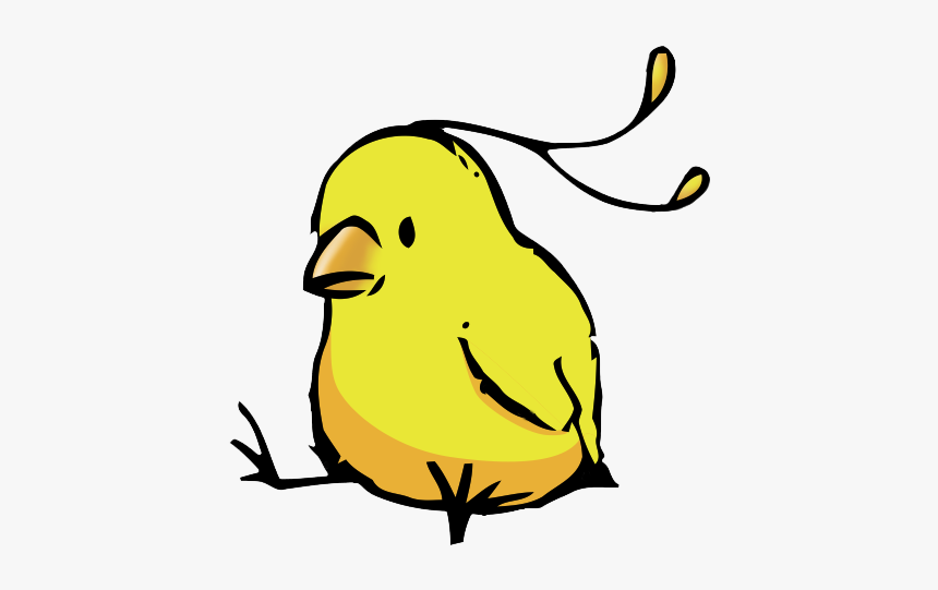 Bird With Existential Crisis, HD Png Download