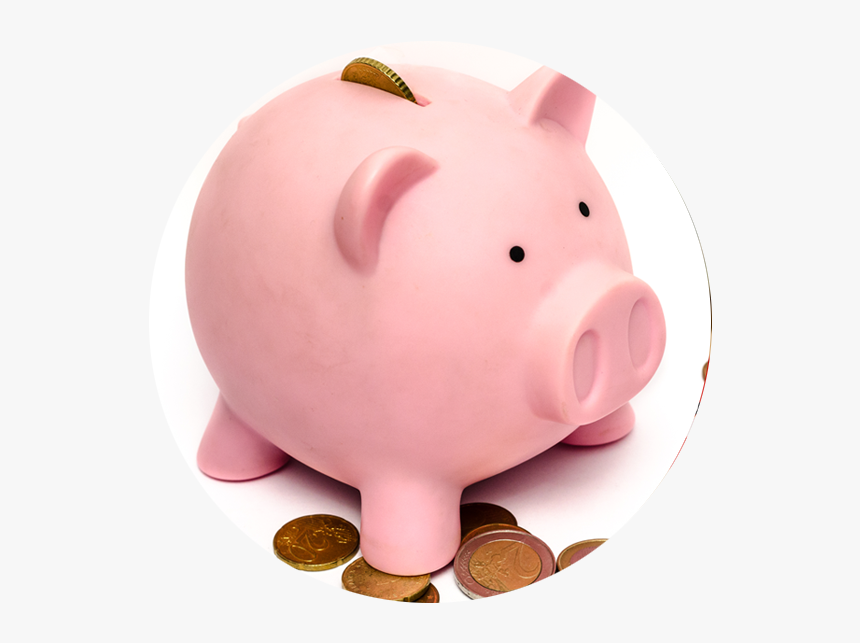 8 Pink Pig - Mutual Fund Piggy Bank, HD Png Download