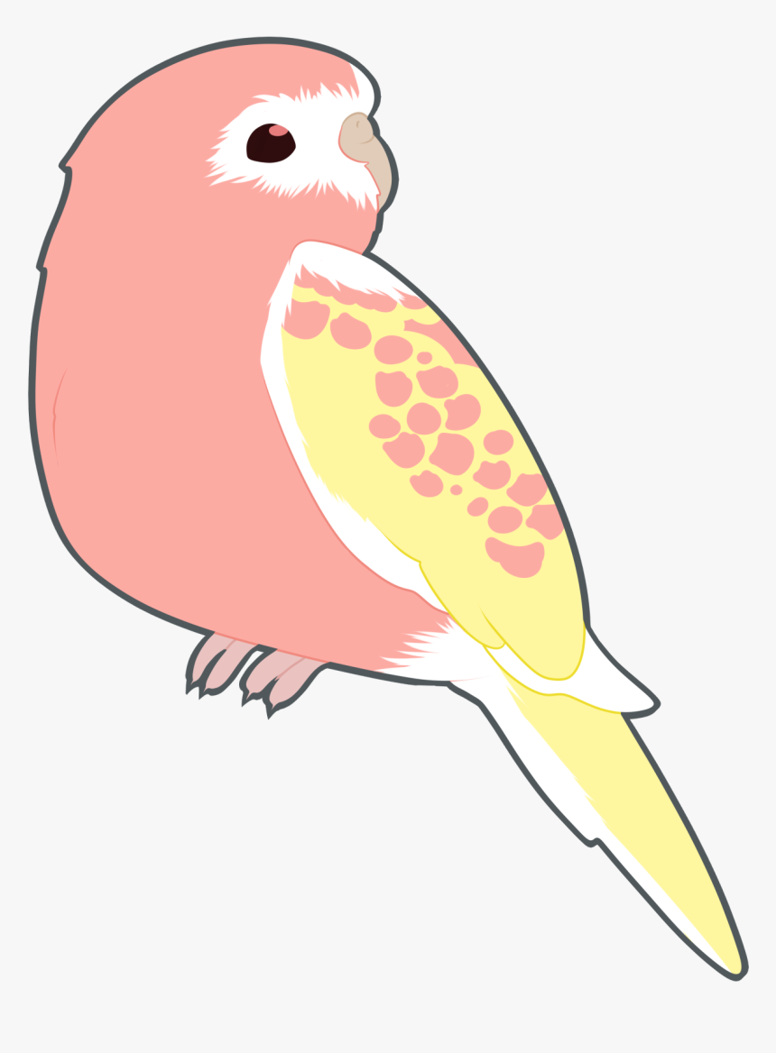 Parrot Transparent, HD Png Download