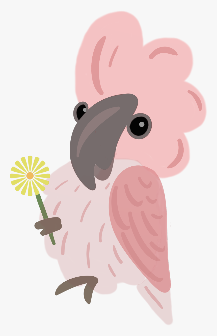 Cockatoo, HD Png Download