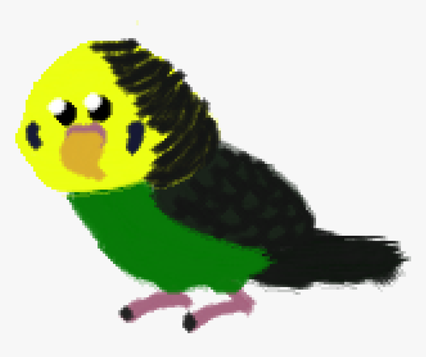 Budgie, HD Png Download