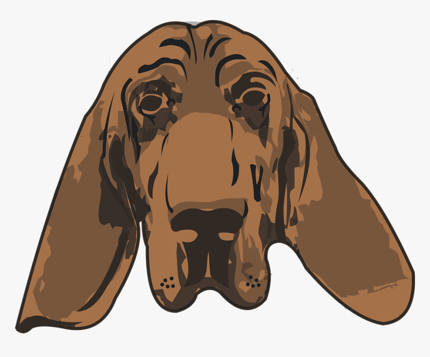Sabueso Png, Transparent Png