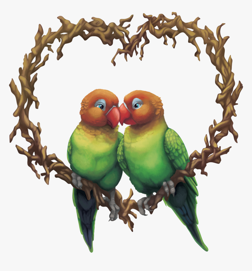 Budgie, HD Png Download