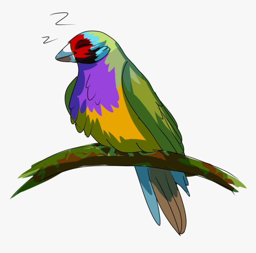 Parrot, HD Png Download