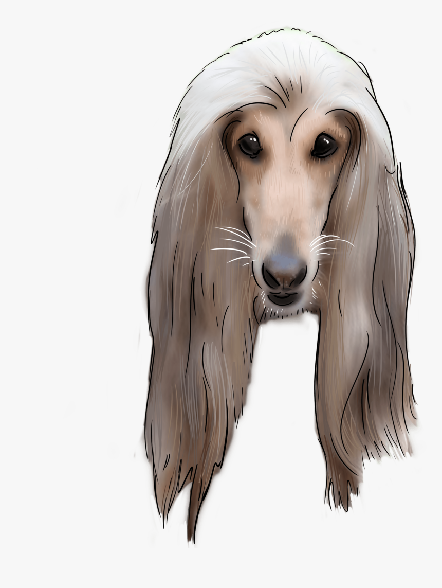 Afghanhound Png, Transparent Png