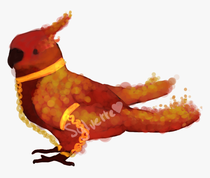 Parrot, HD Png Download