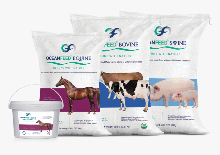 Ocean Harvest Technology Limited, Its Agents, Distributors, HD Png Download