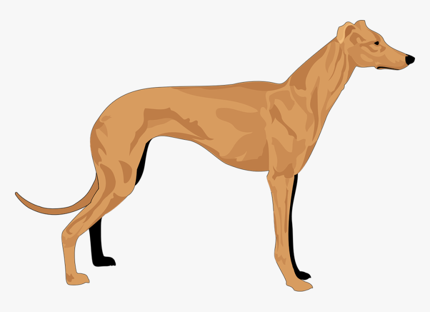 Hound Clipart, HD Png Download