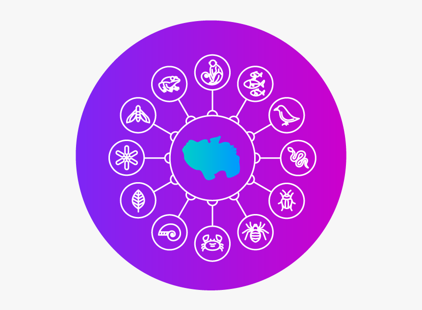 Biodiversity - Circle, HD Png Download