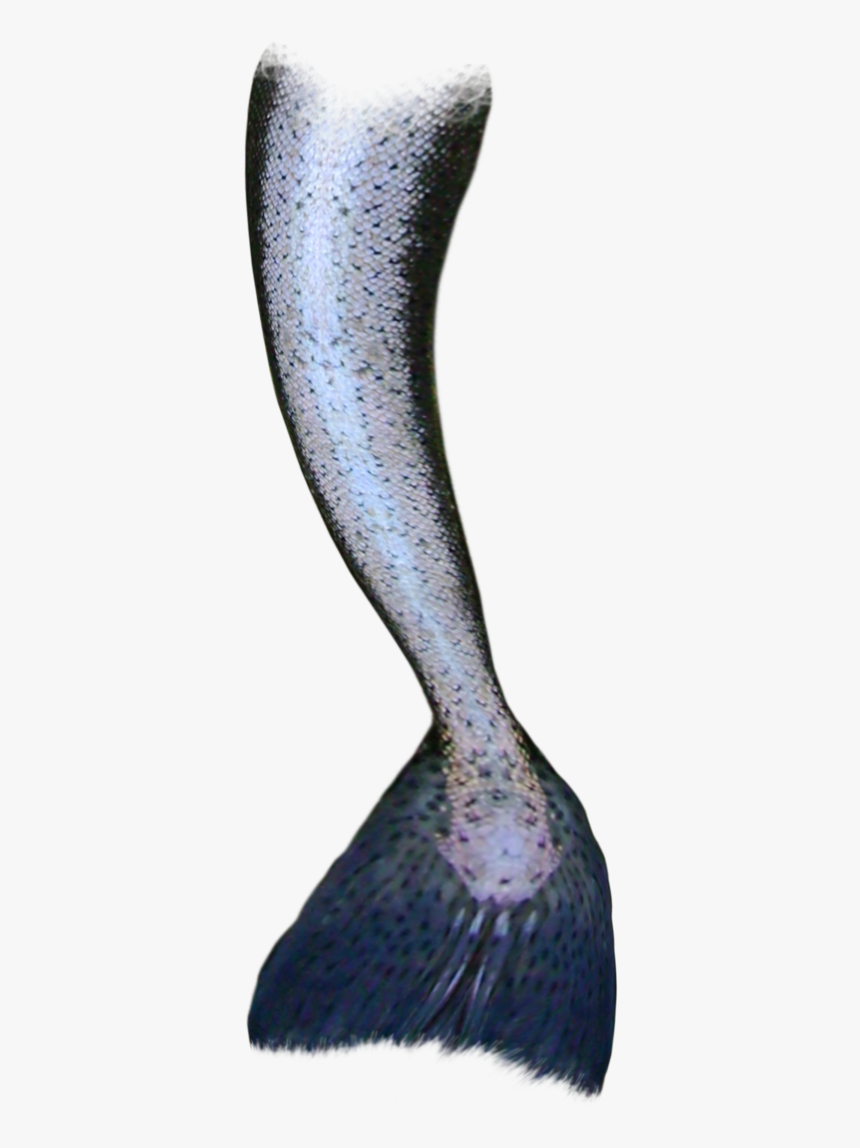 Mermaid Tail Siren - Mermaid Tails No Background, HD Png Download