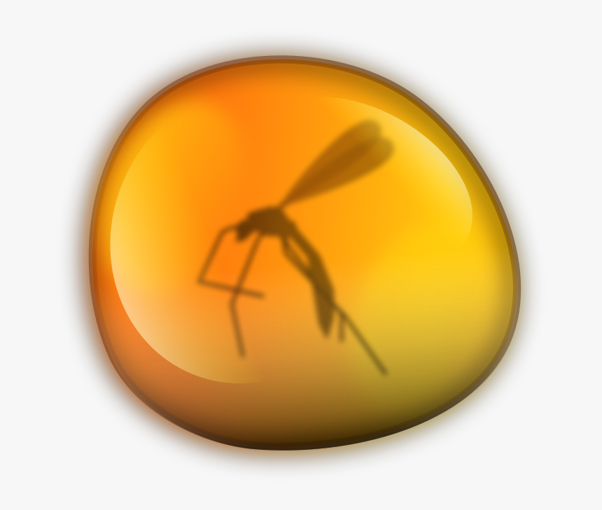 Amber, HD Png Download