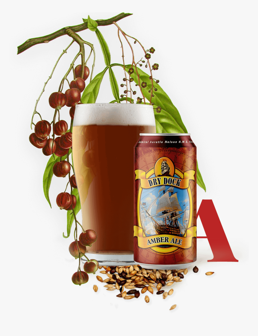 Amber Ale - Botanical Illustration, HD Png Download