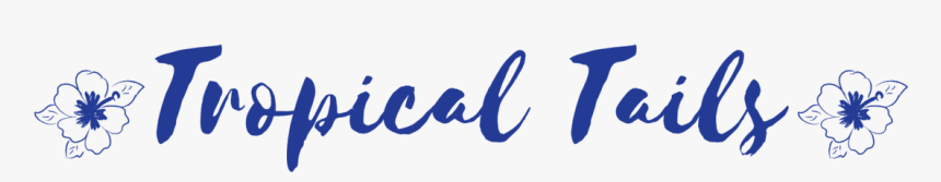 Calligraphy, HD Png Download