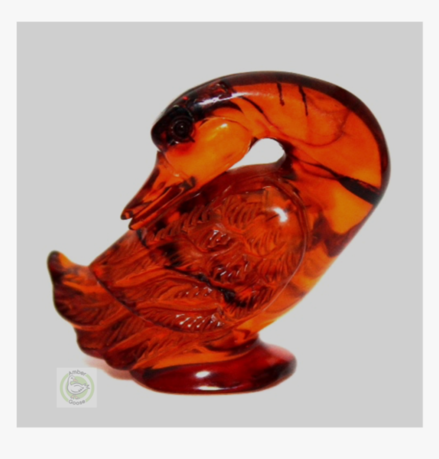 Anambergoose, HD Png Download