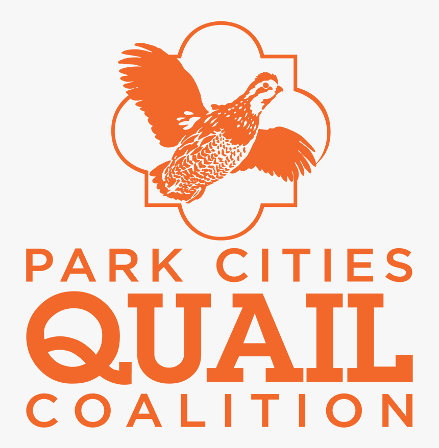 Pcqc 2019 Logo Clear Background - Park Cities Quail, HD Png Download