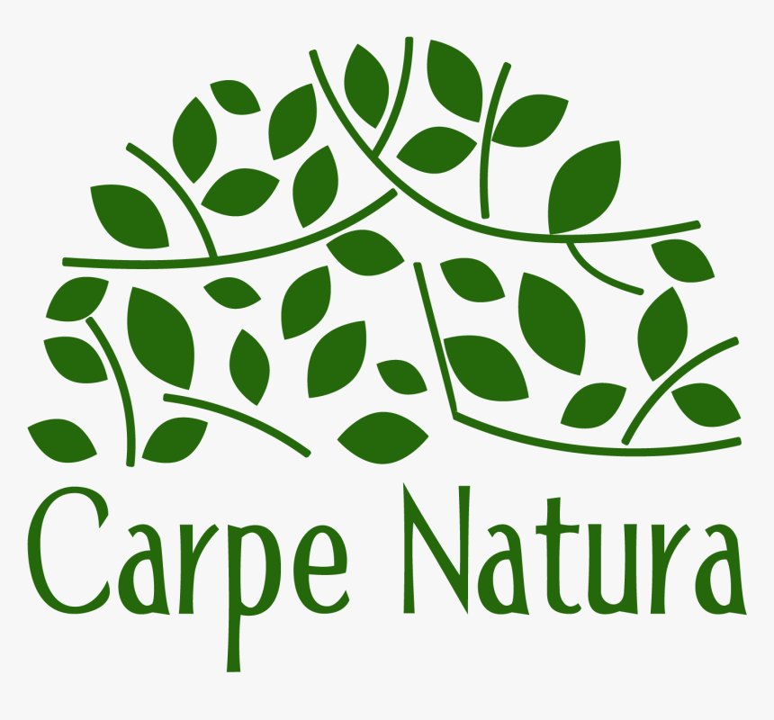 Ak Parti Gençlik Kolları, HD Png Download