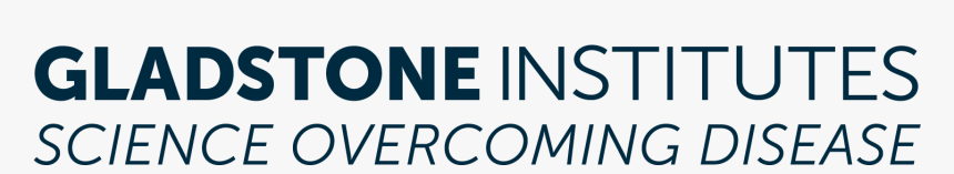 Oval, HD Png Download