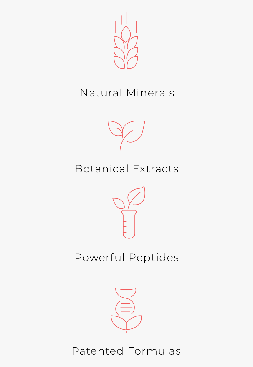 Carmine, HD Png Download