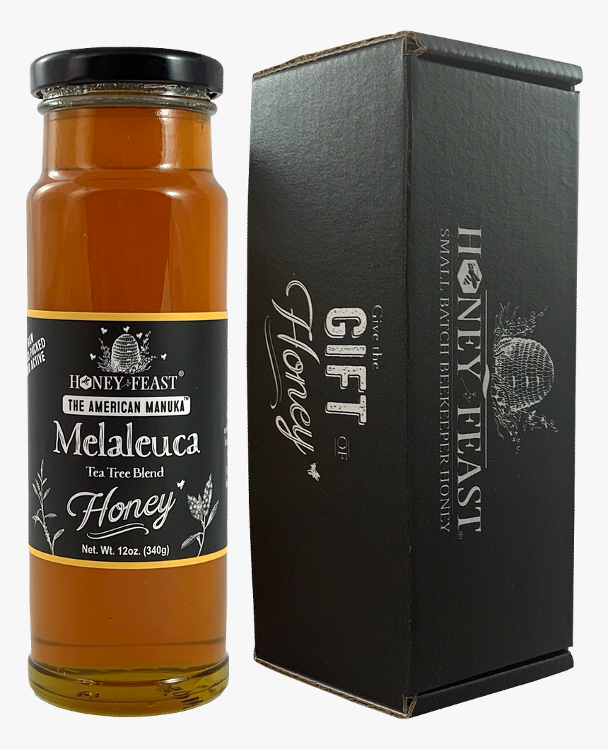 Florida, HD Png Download