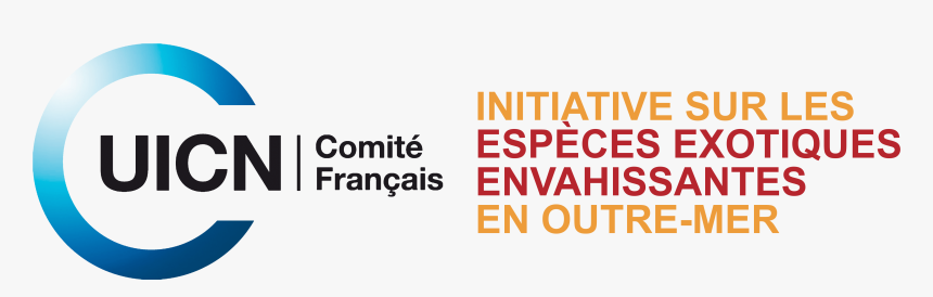 Melaleuca Quinquenervia , Png Download - Tan, Transparent Png