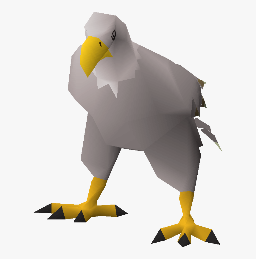 Bald Eagle, HD Png Download