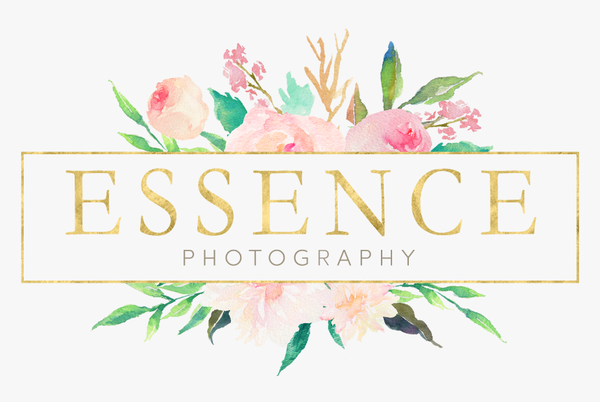 Elisabethe Logo Png - Photography, Transparent Png