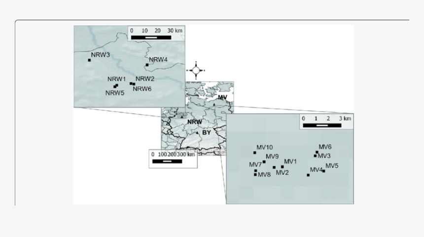 Screenshot, HD Png Download