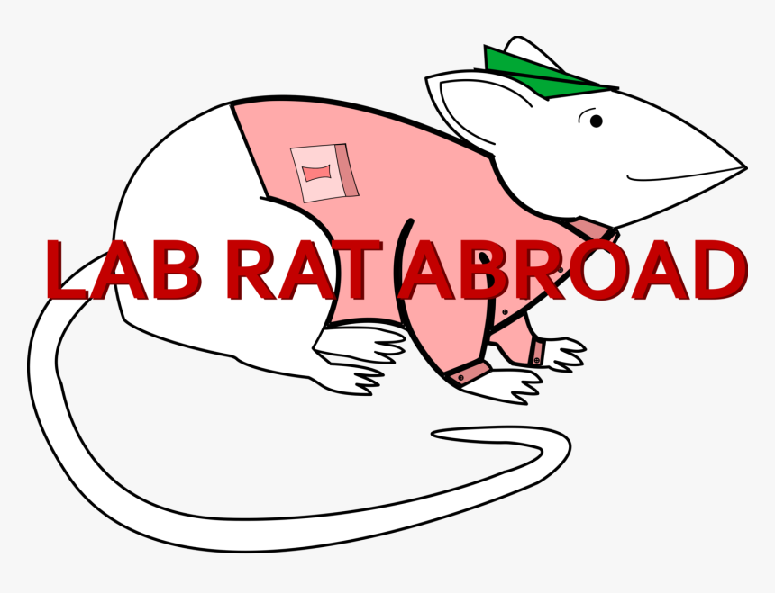 Transparent Refugees Clipart - Cartoon, HD Png Download