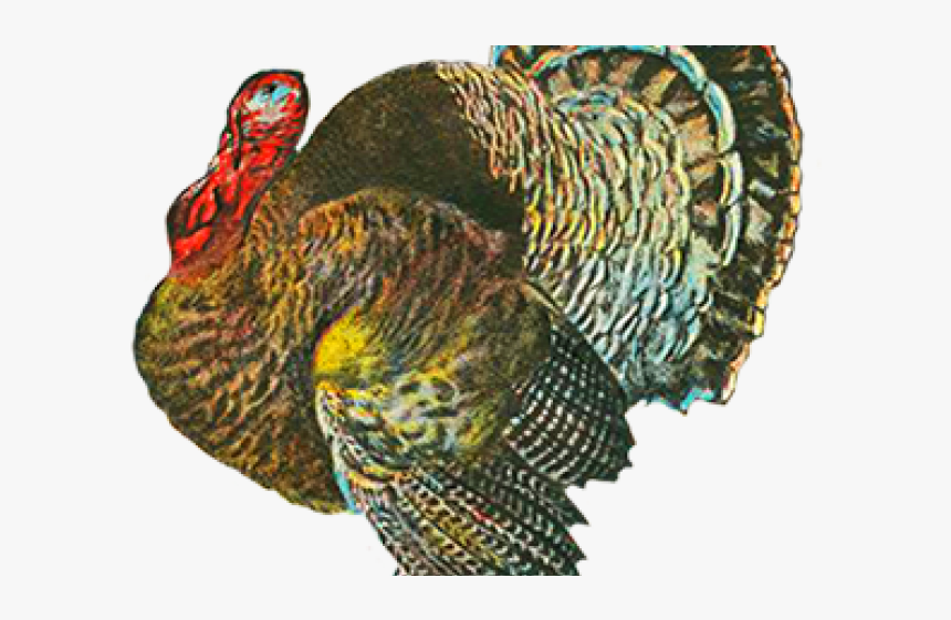 Thanksgiving Png Transparent Images - Turkey, Png Download ...