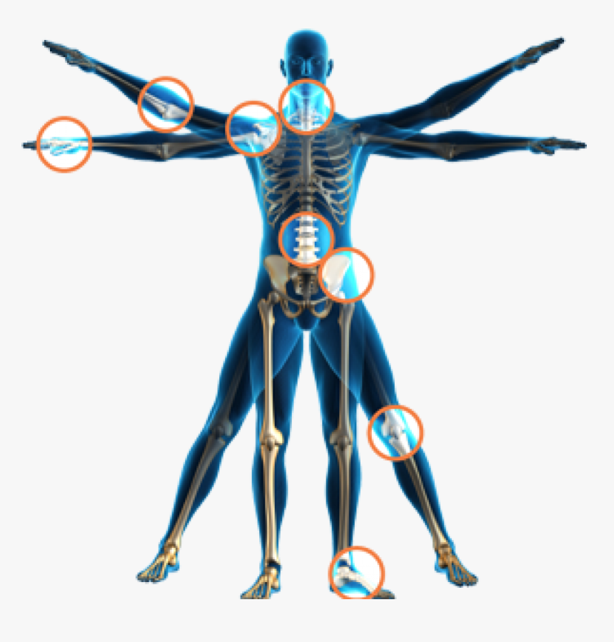 Physical Therapy Health Spinal Adjustment Human Body - Physical Therapy, HD Png Download