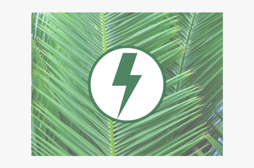 5, HD Png Download
