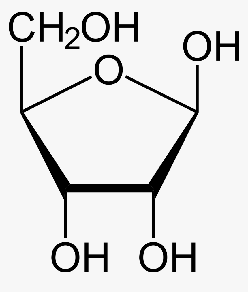 Fructose 1 6 Bisphosphate Structure, HD Png Download
