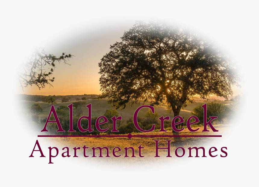 Alder Creek Tree Feathered Image With La - Poster, HD Png Download