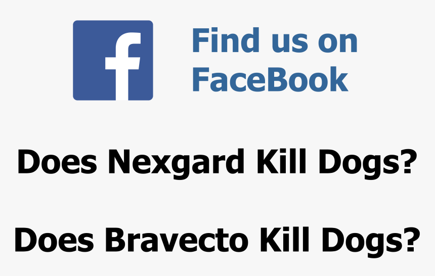 Benie Tv, HD Png Download