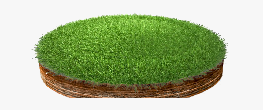 Lawn, HD Png Download