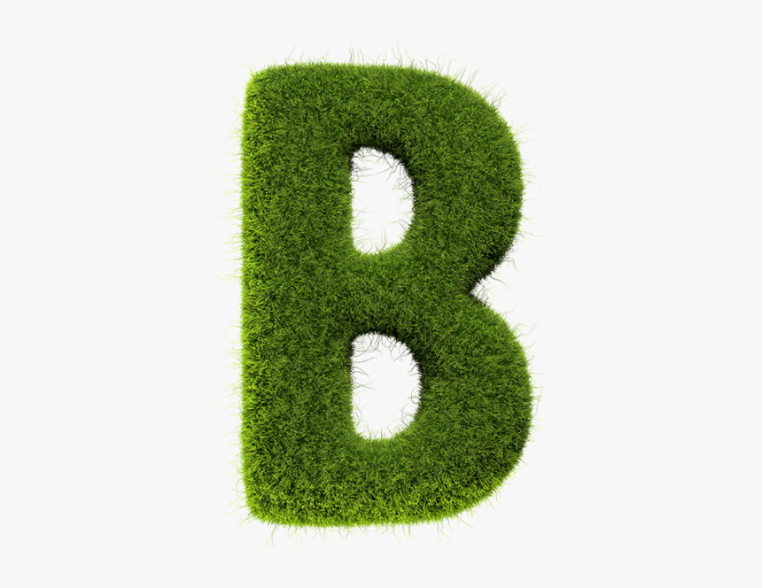 Tennis Grass Font - Typography Plant Font, HD Png Download