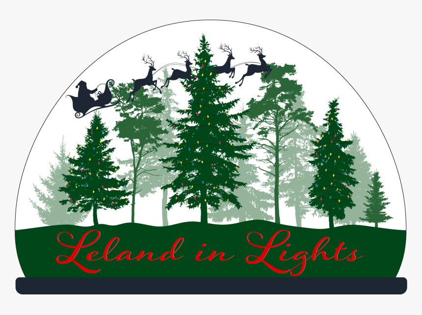 Green Pine Tree Vector, HD Png Download